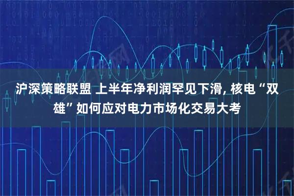 沪深策略联盟 上半年净利润罕见下滑, 核电“双雄”如何应对电力市场化交易大考