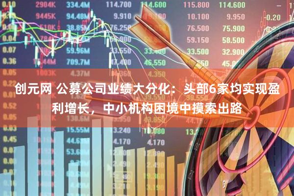 创元网 公募公司业绩大分化：头部6家均实现盈利增长，中小机构困境中摸索出路