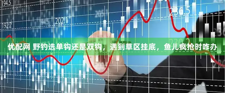 优配网 野钓选单钩还是双钩，遇到草区挂底，鱼儿疯抢时咋办